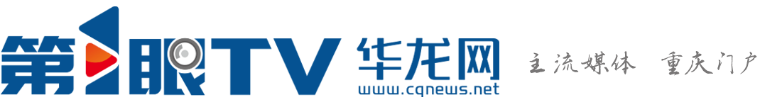 政法频道